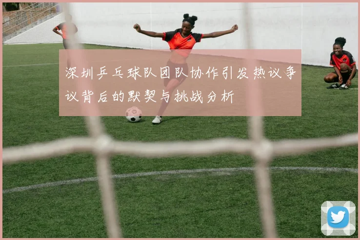 深圳乒乓球队团队协作引发热议争议背后的默契与挑战分析